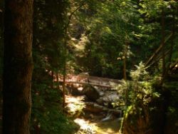 2013-07-20_Regina-F-Rau_Kochel-Rabenkopf (159).JPG